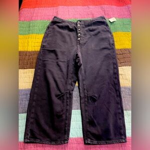 NWT Super Cute Free People ‘We The Free’ Osaka Jean, Size 32, Black